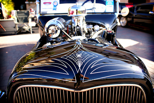 Black Widow – Christopher Allison Photography –