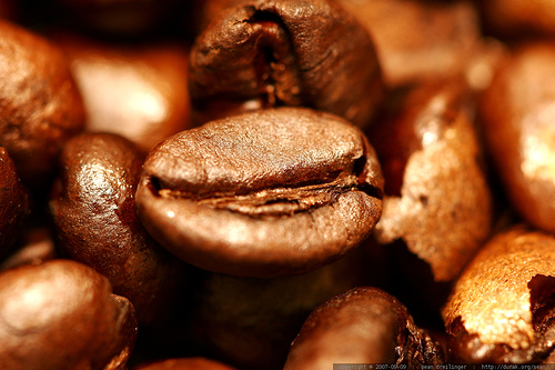 home-roasted coffee beans – ethiopian harar horse lot 14659 – _MG_4097
