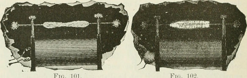 Image from web page 177 of “The inventions : researches and writing of Nikola Tesla, with special reference to his perform in polyphase currents and higher potential lighting” (1894)