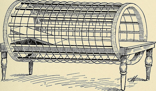 Image from page 72 of “Practical electro-therapeutics and X-ray therapy : with chapters on phototherapy, X-ray in eye surgery, X-ray in dentistry, and medico-legal aspect of the X-ray” (1912)
